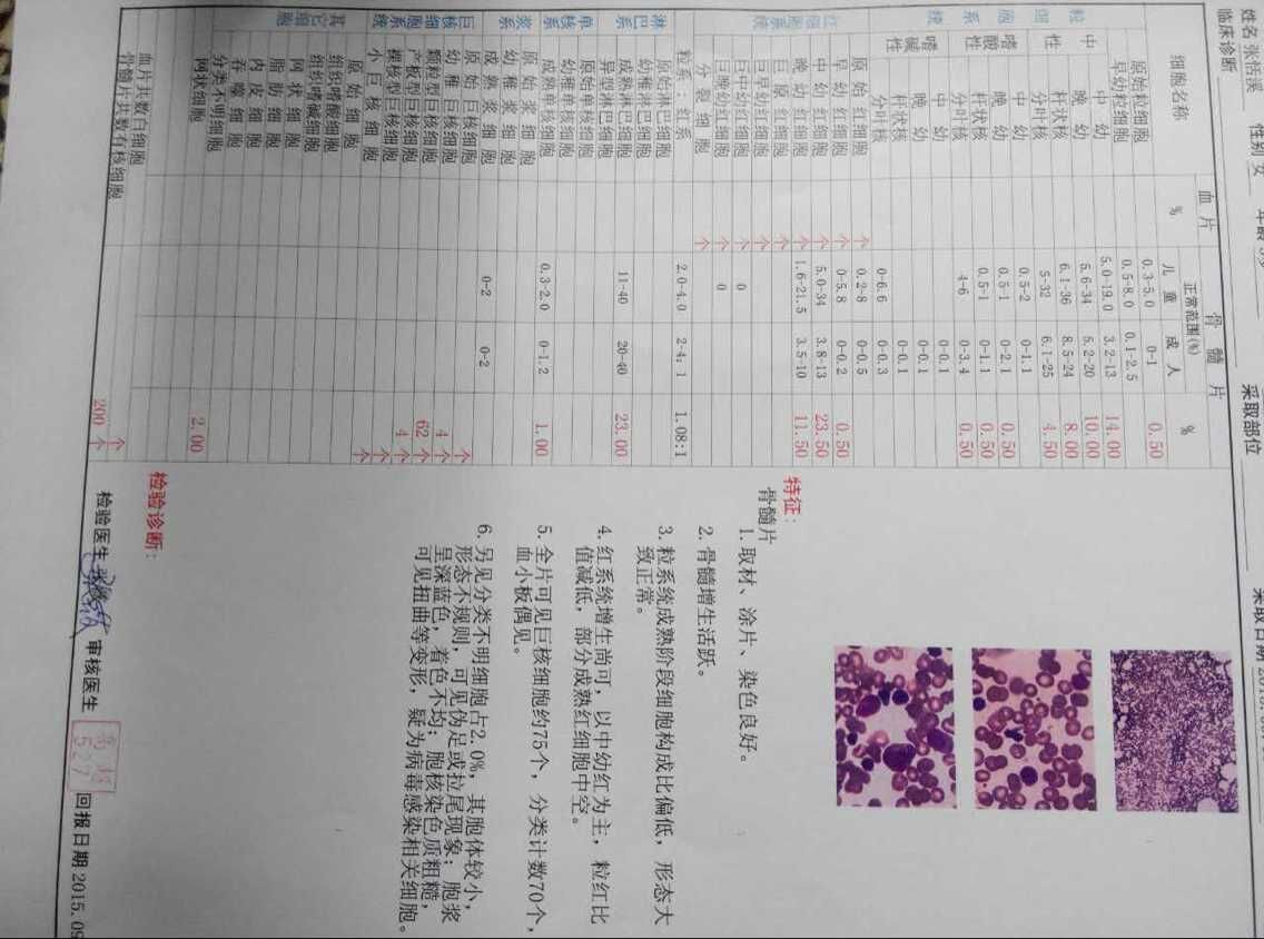 骨穿报告.jpg