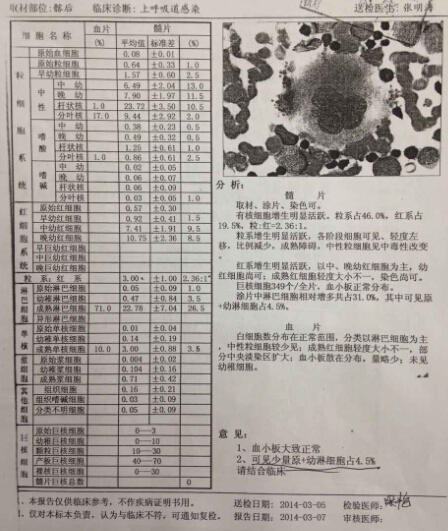 骨髓报告