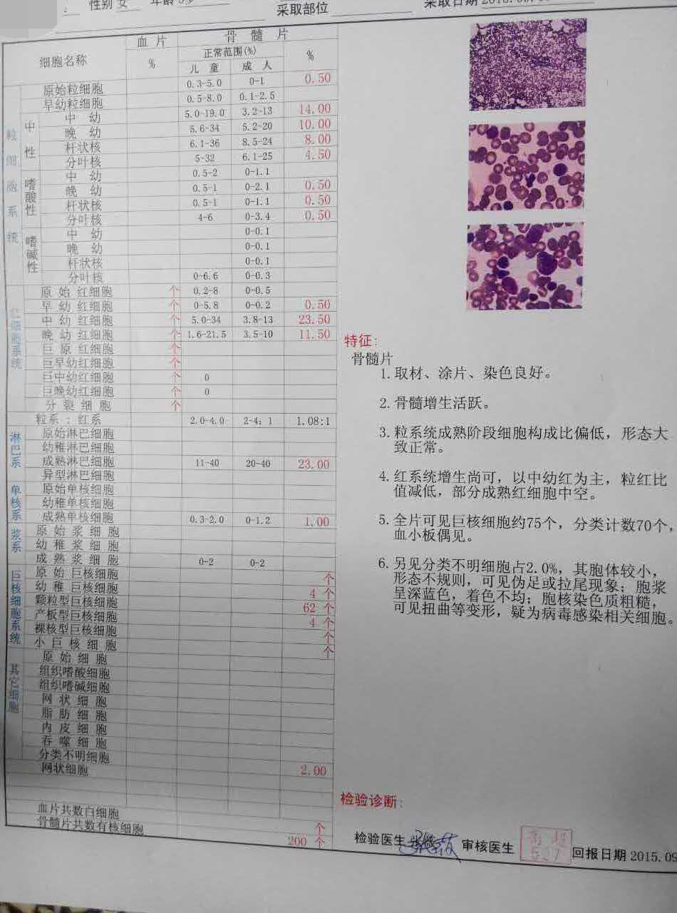 9月刚发病时做的骨穿