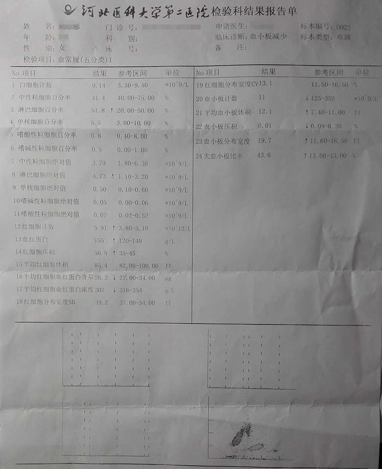 血常规新