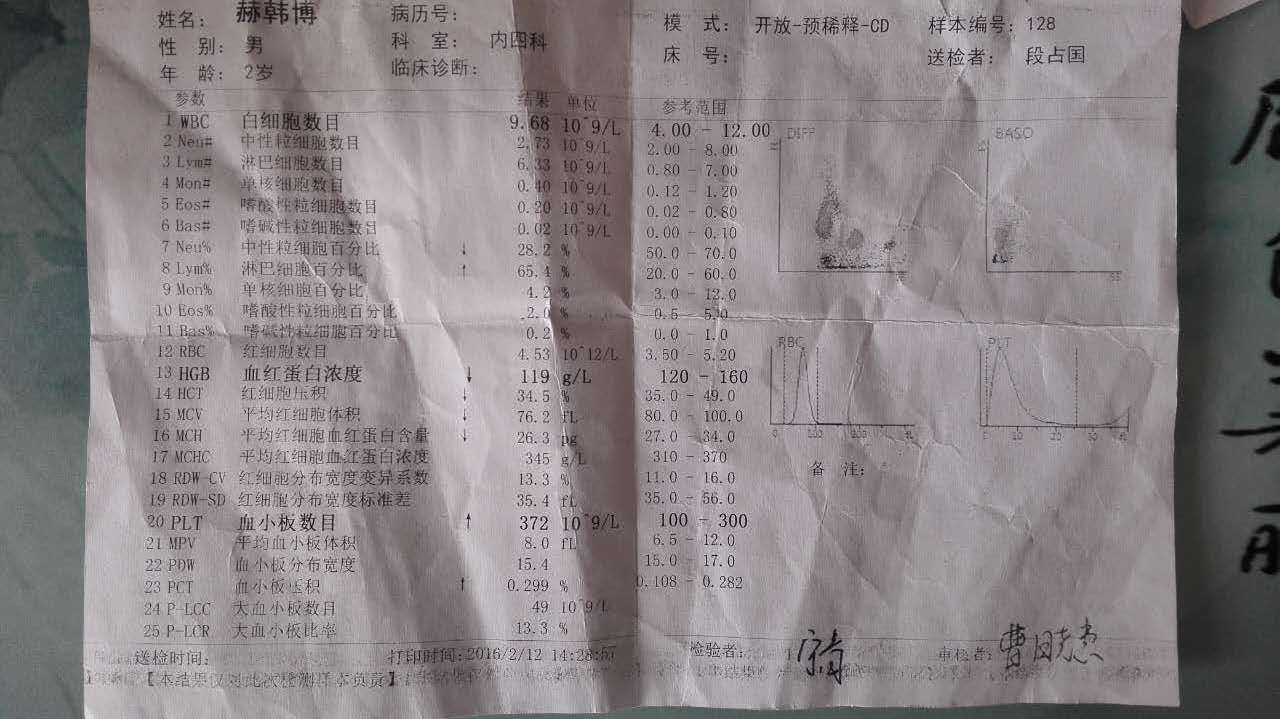 2016年2月12日血常规