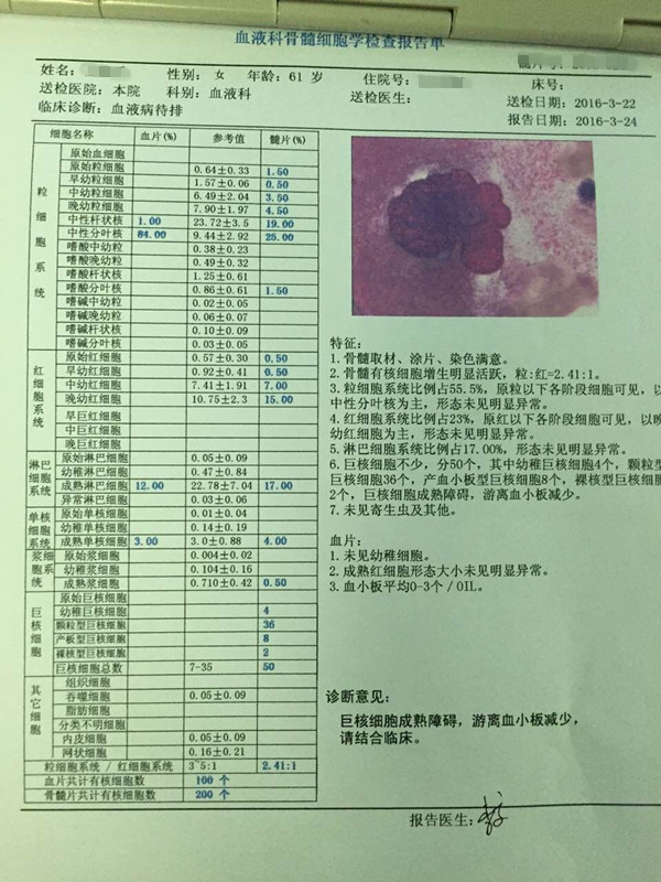 骨髓检查报告