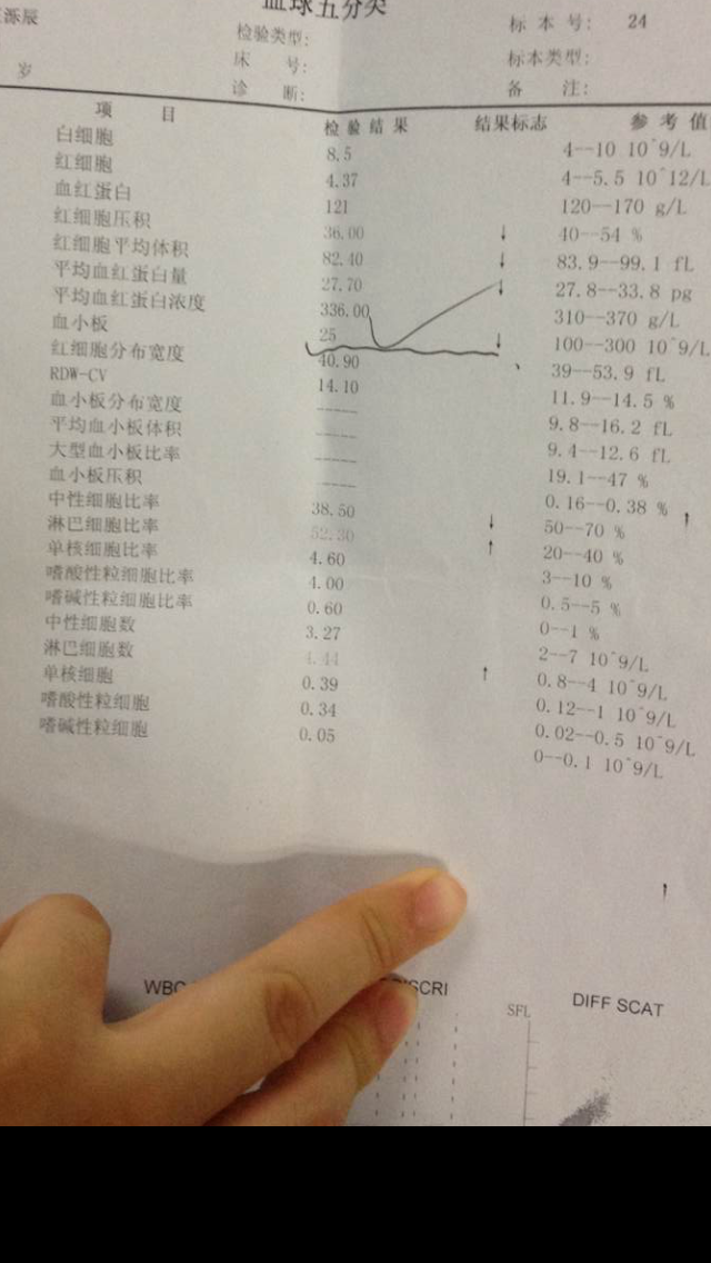 IMG_1995.PNG