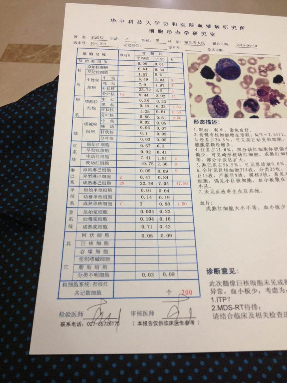 QQ图片20160425191451.jpg