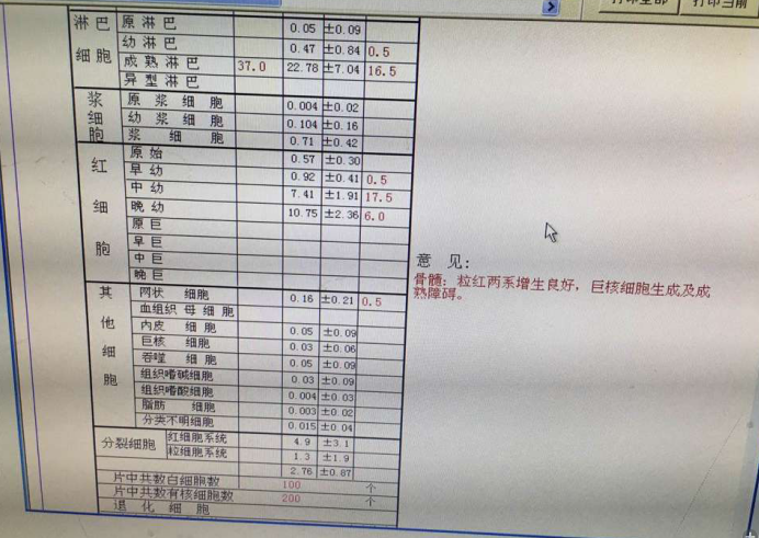 骨髓检查结果