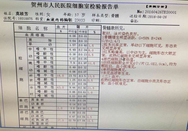 骨髓检查结