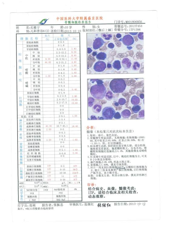 盛京医院骨穿报告.jpg