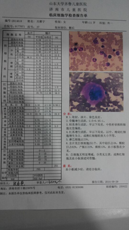 2014年济南儿童医院骨穿报告