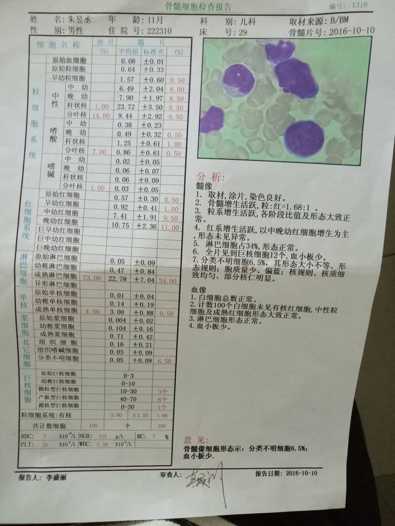 165142h661m9944v16lphw.jpg