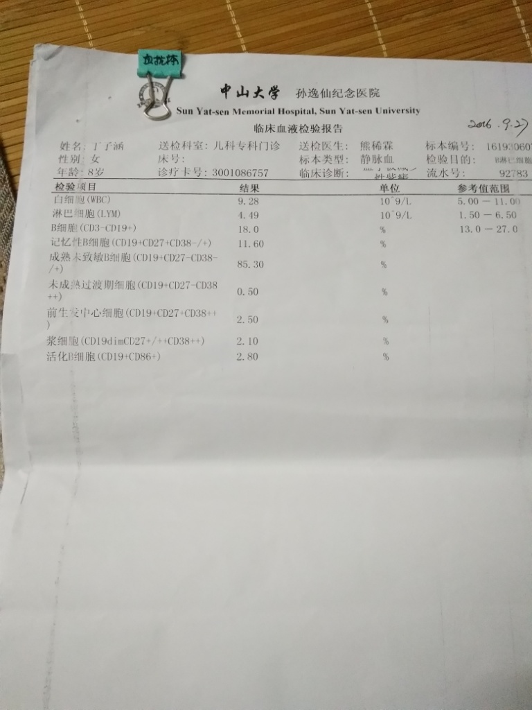 B淋巴细胞亚群