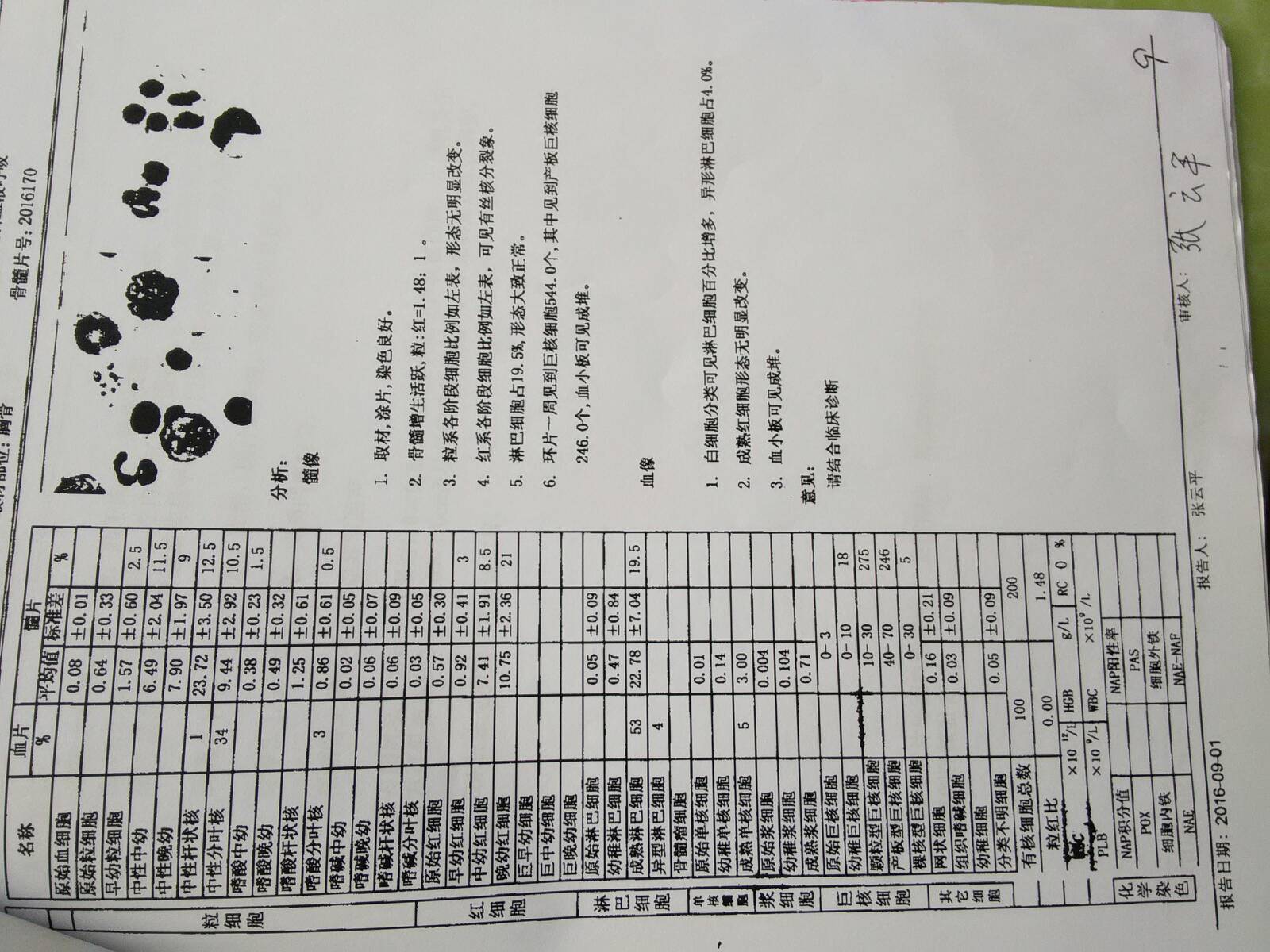 091902c4m1lbnq7hwfww89.jpg
