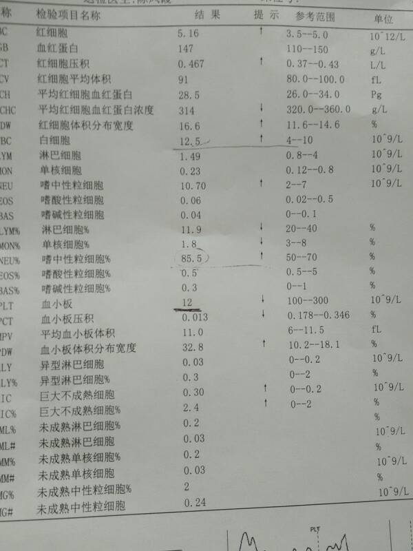 092043l4bwsymvsyby01bl.jpg