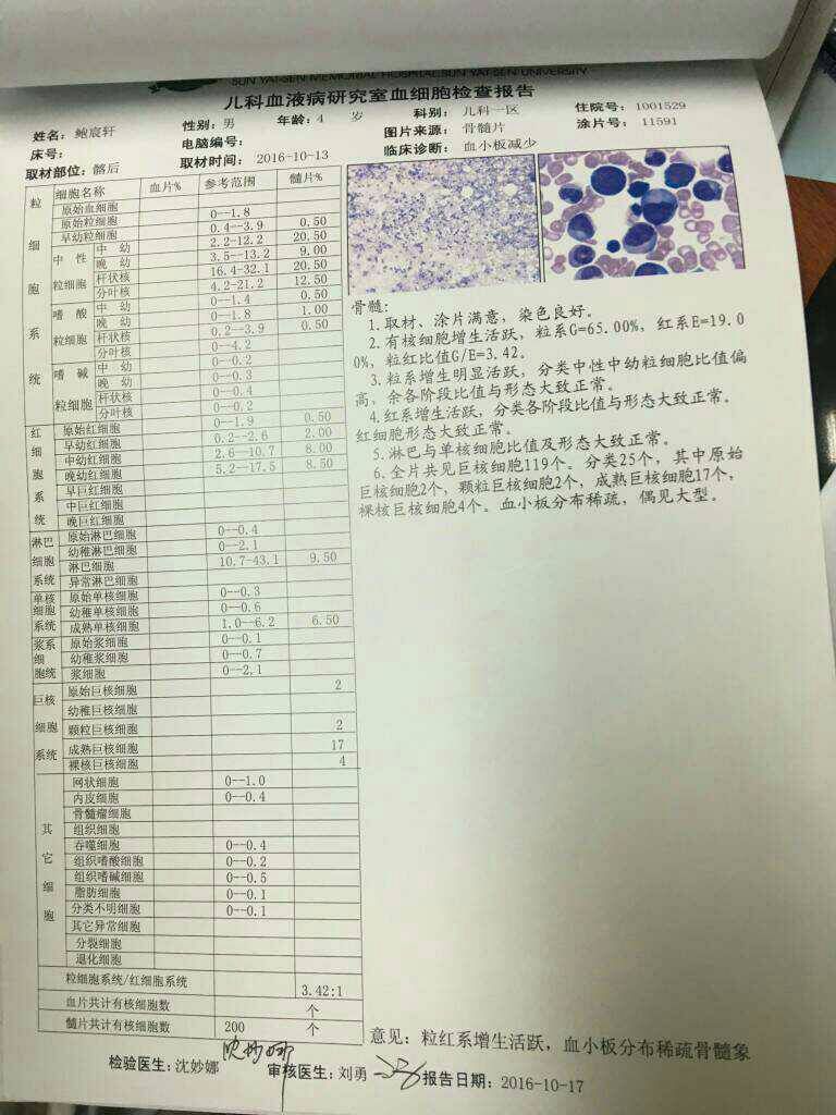 135915qpn6e88qiu83iw0w.jpg