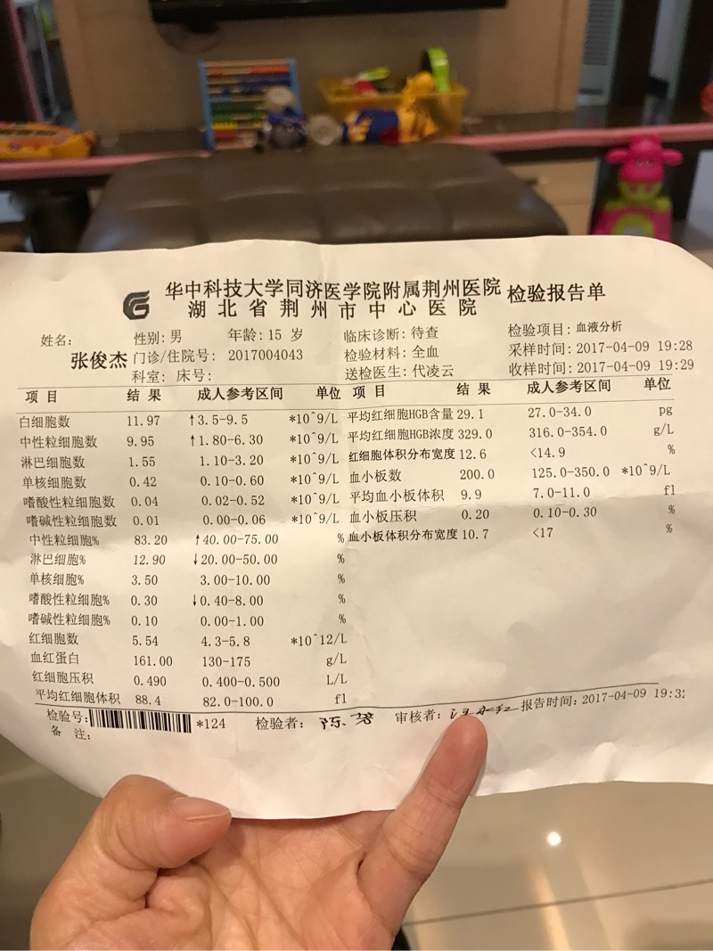 205240fyo8i1p8dmqidim7.jpg