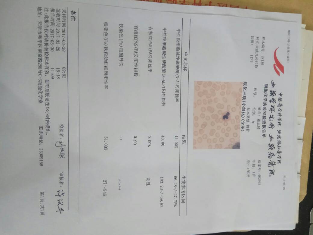 091747vnzyiqz6il3q683q.jpg