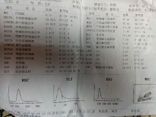 IMG20170503140610.jpg