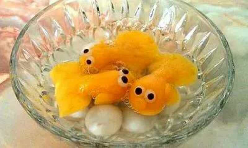 呆萌小金鱼汤圆