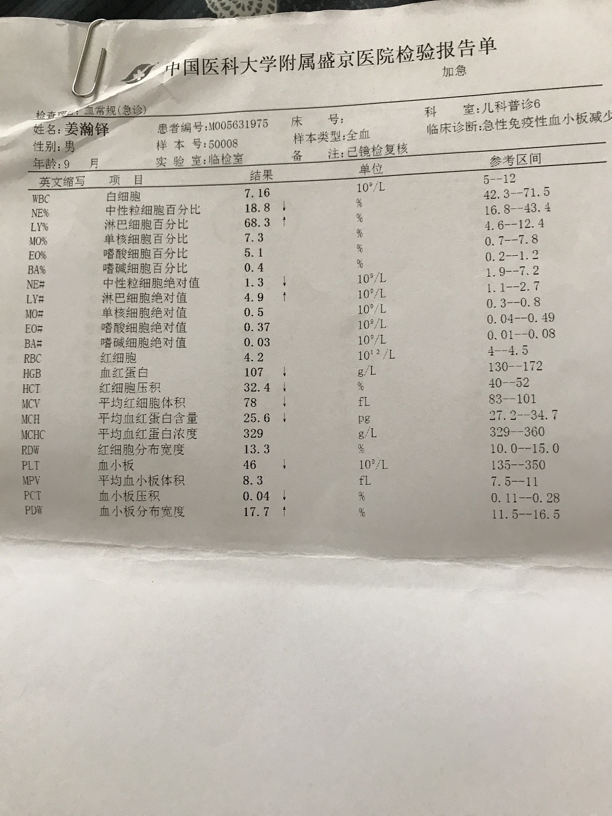 2017.5.19.JPG