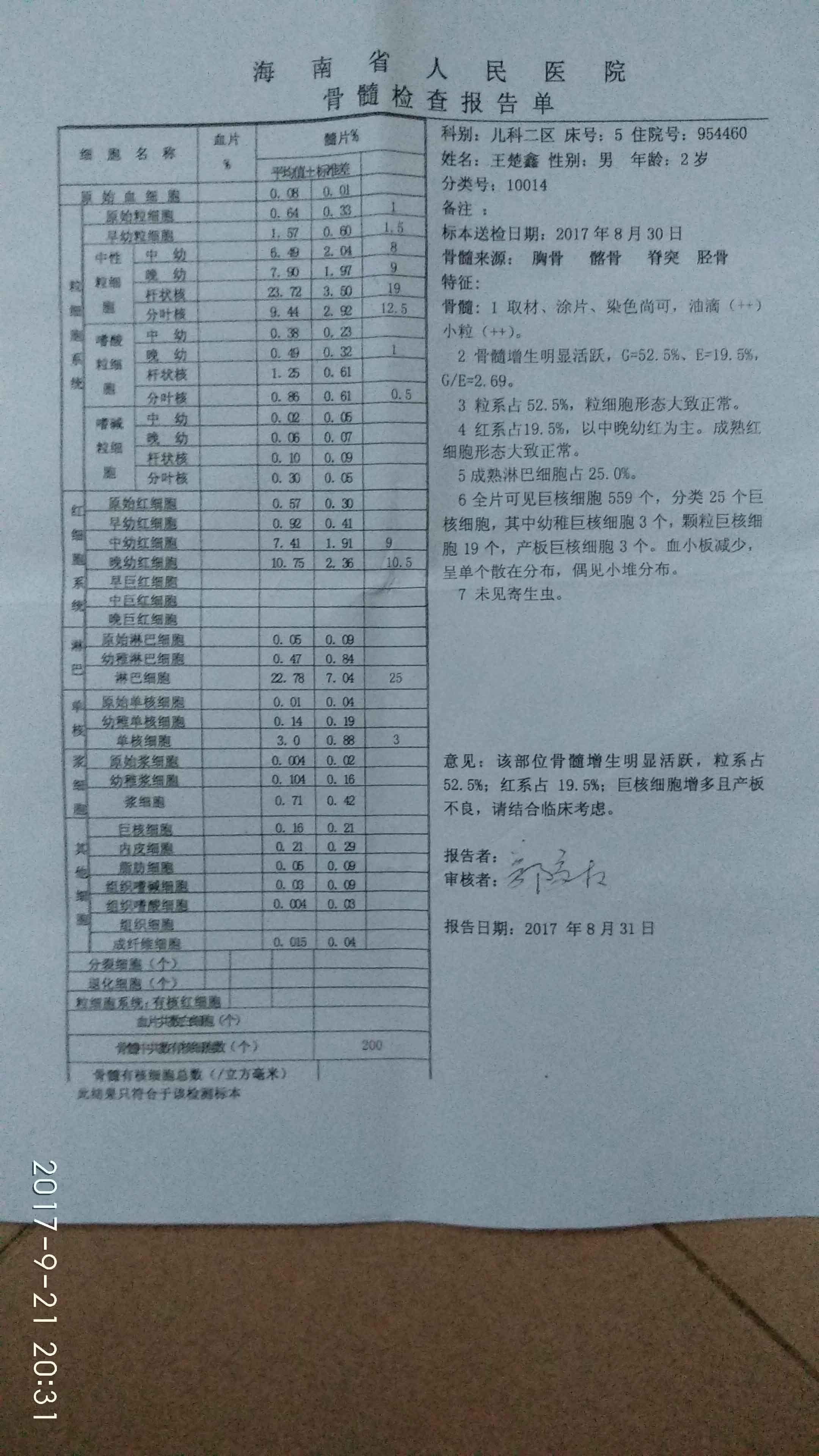 骨穿报告