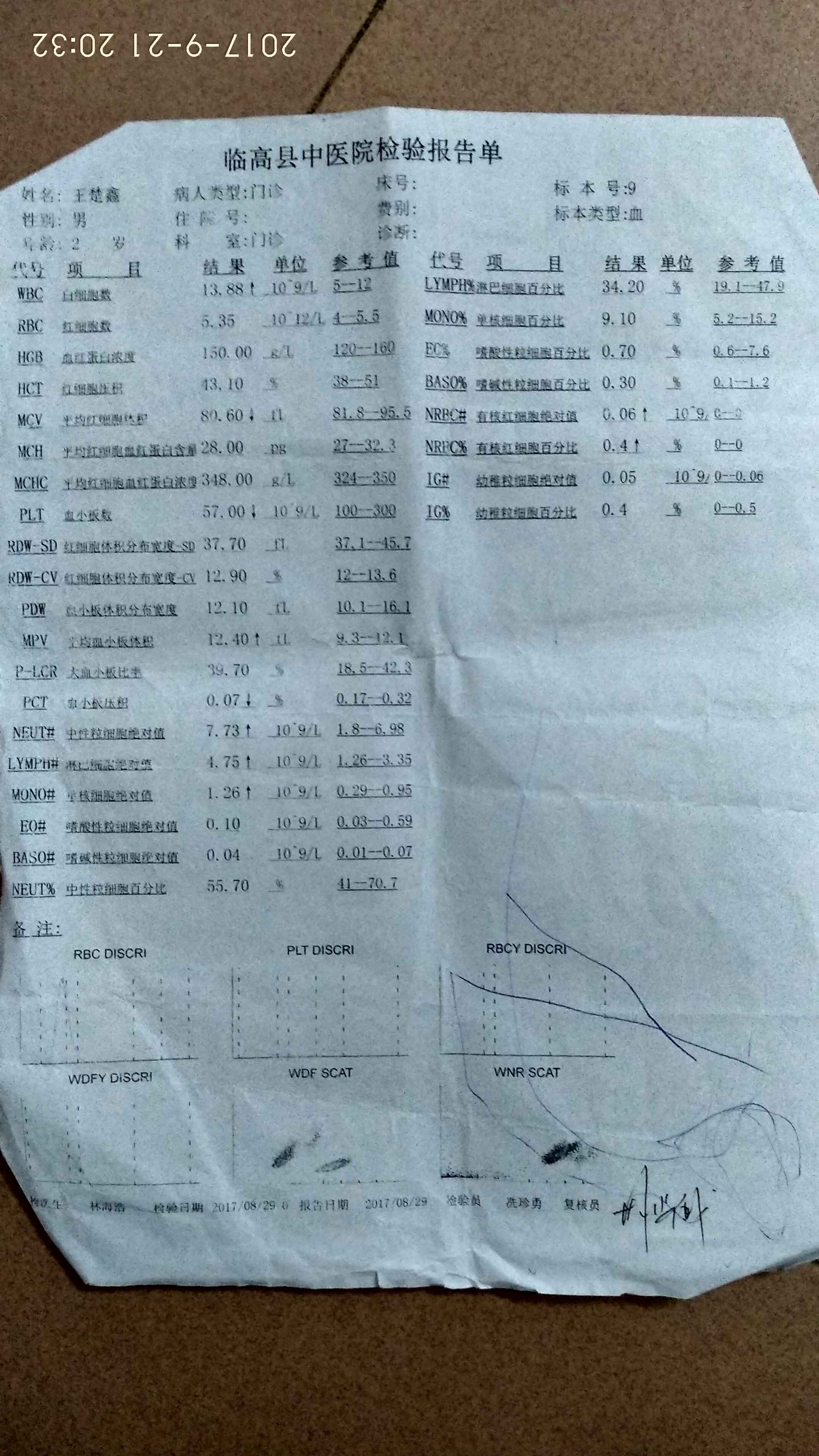 血常规8月29日