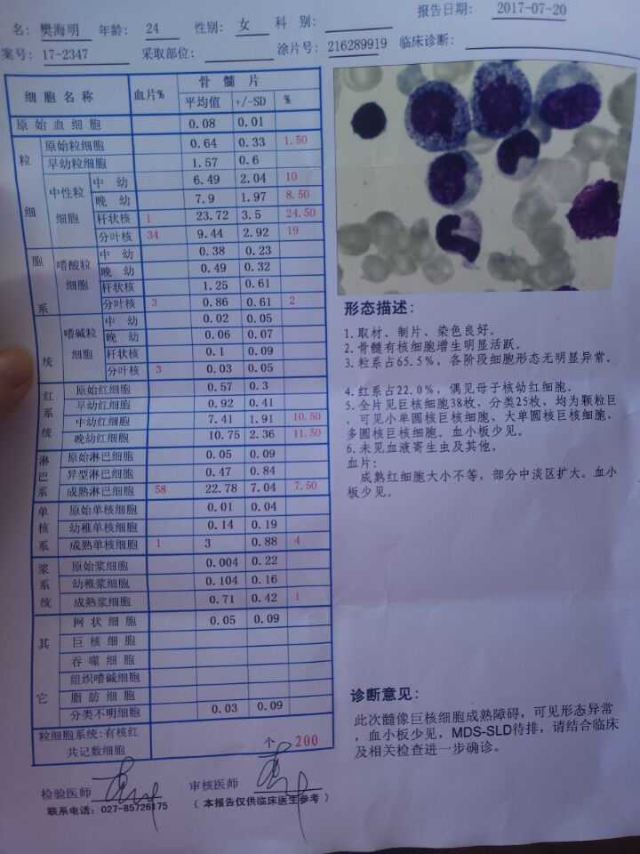 QQ图片20171230004113.jpg