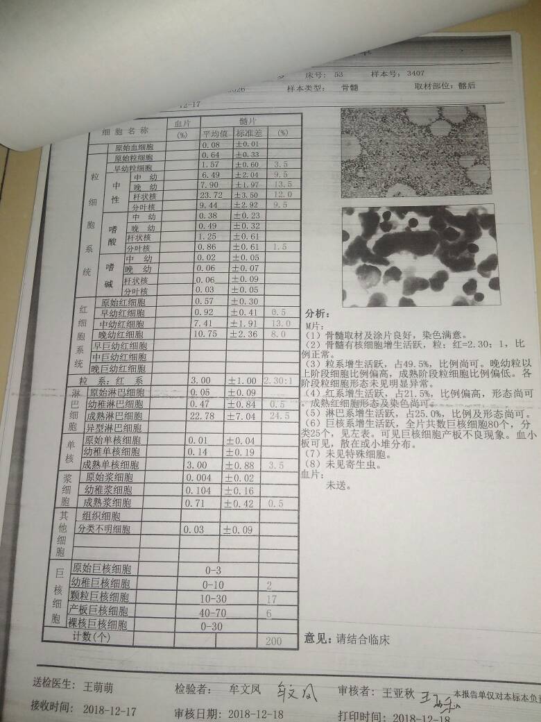184607arzsqyd6s6iclkdg.jpg