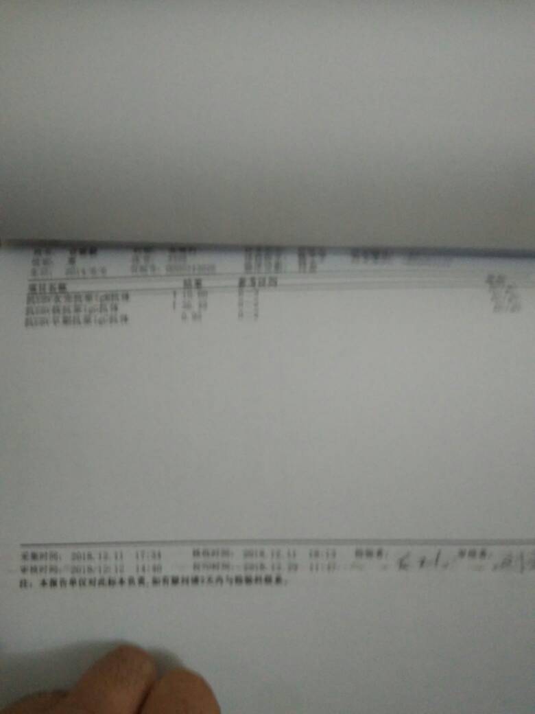 185551gll8bdq488553522.jpg