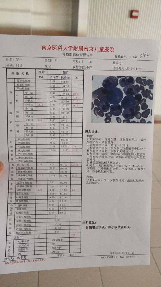 183726jtb8fcxfmhh5xgmt.jpg