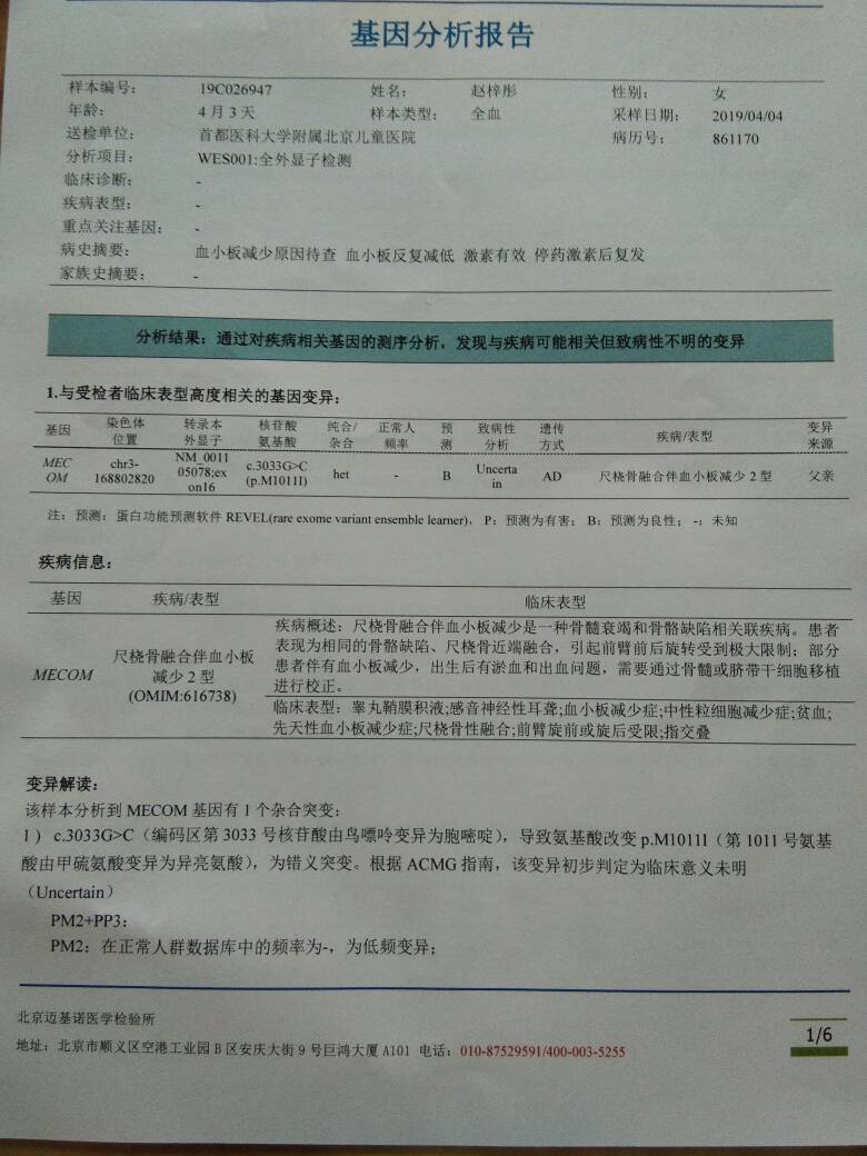 215047aemdd984lljpzclj.jpg