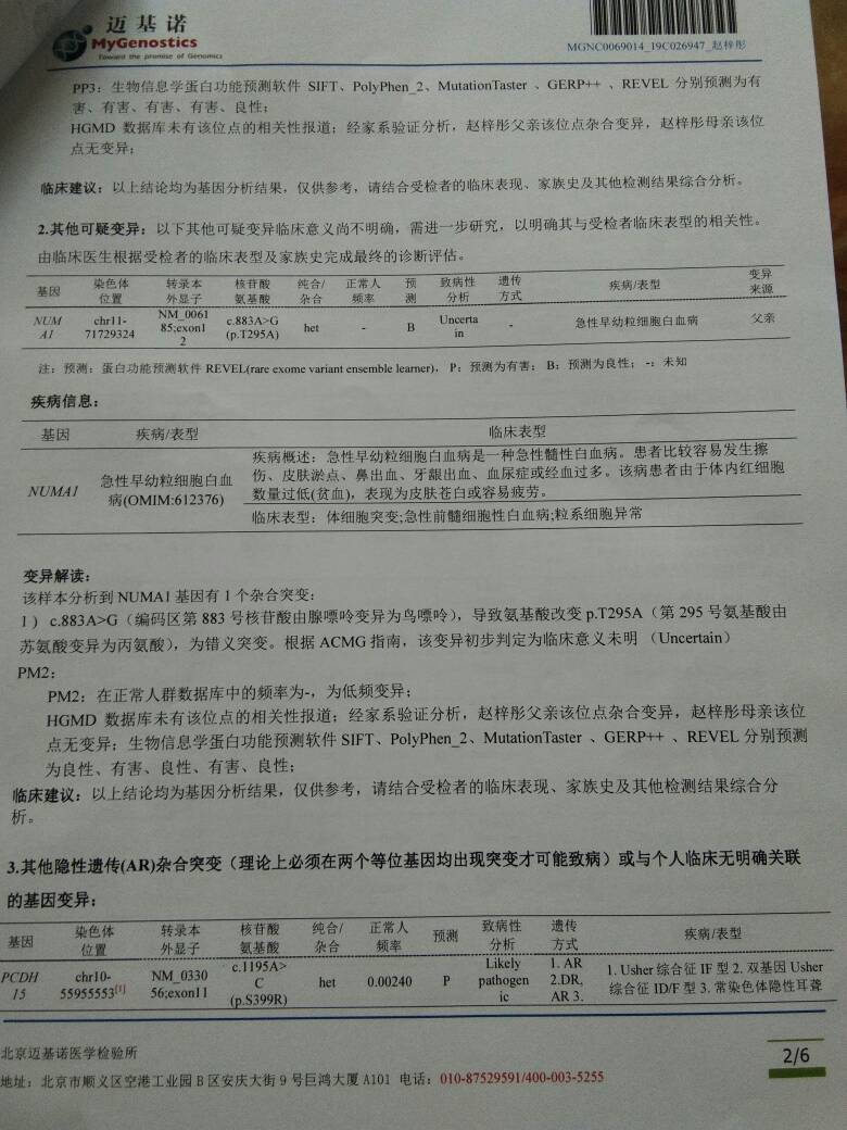 215048mz33fitbofehe8f1.jpg