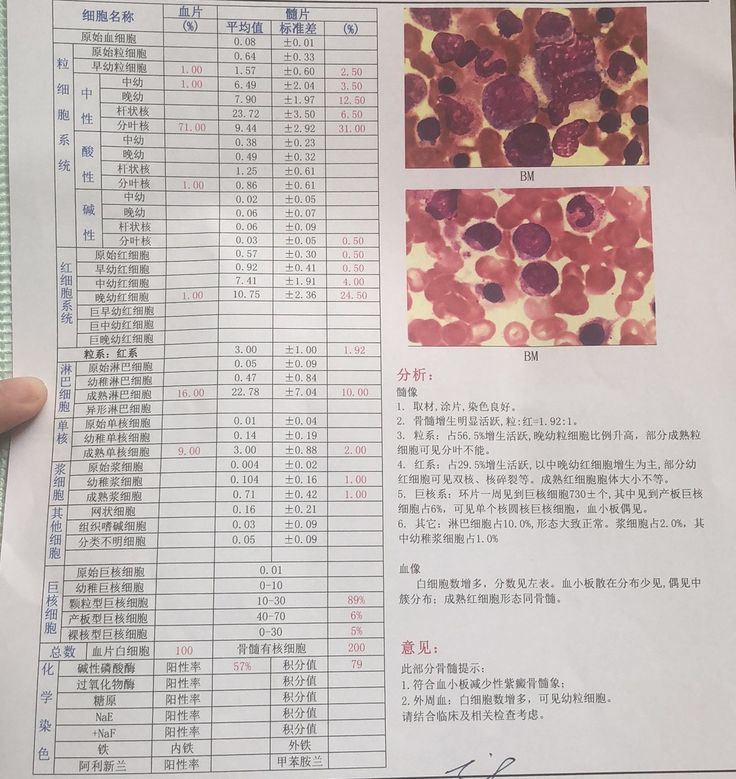 微信图片_20190628180927.jpg