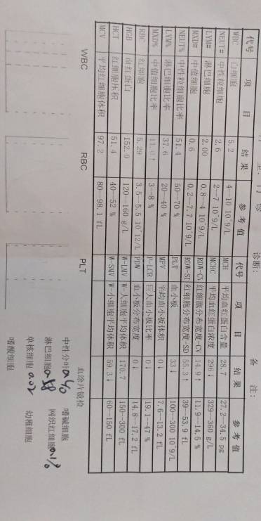 090435goo4ajn7kof7p754.jpg