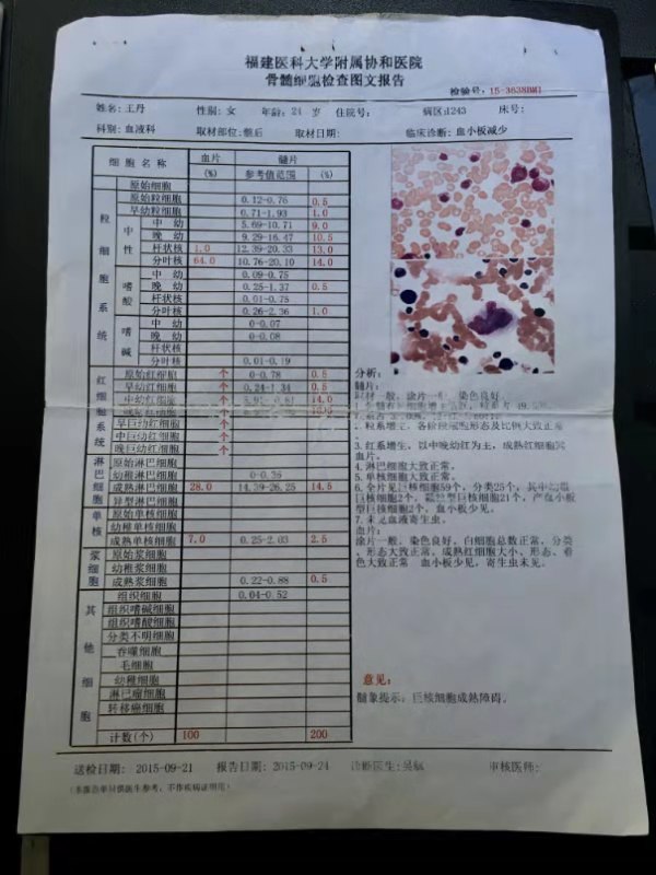 20150921骨髓细胞检查图文报告.jpg