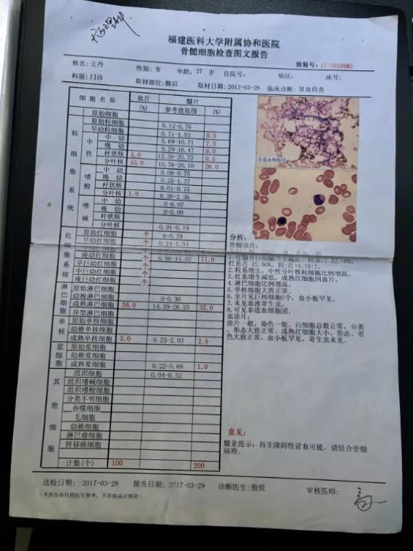 20170328骨髓细胞检查图文报告.jpg