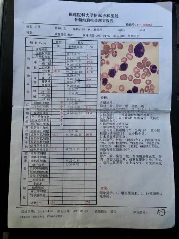 20170407骨髓细胞检查图文报告.jpg