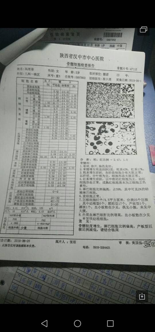 101334alpy6swweleslkks.jpg