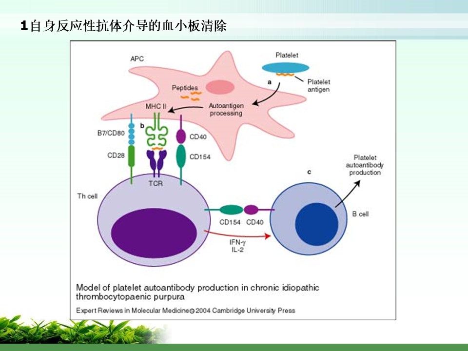 幻灯片9.JPG