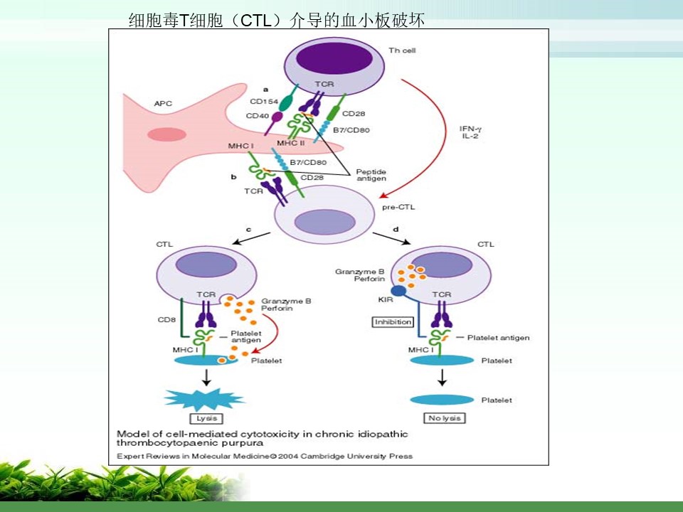 幻灯片11.JPG