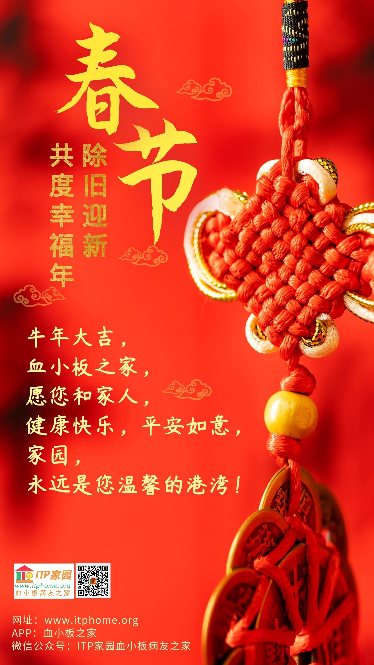 2021ITP家园牛年海报.jpg