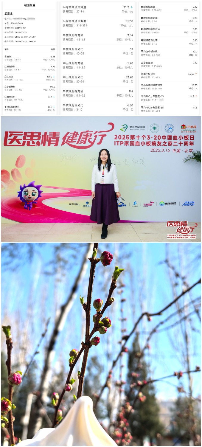 Collage_20250321_152232.jpg