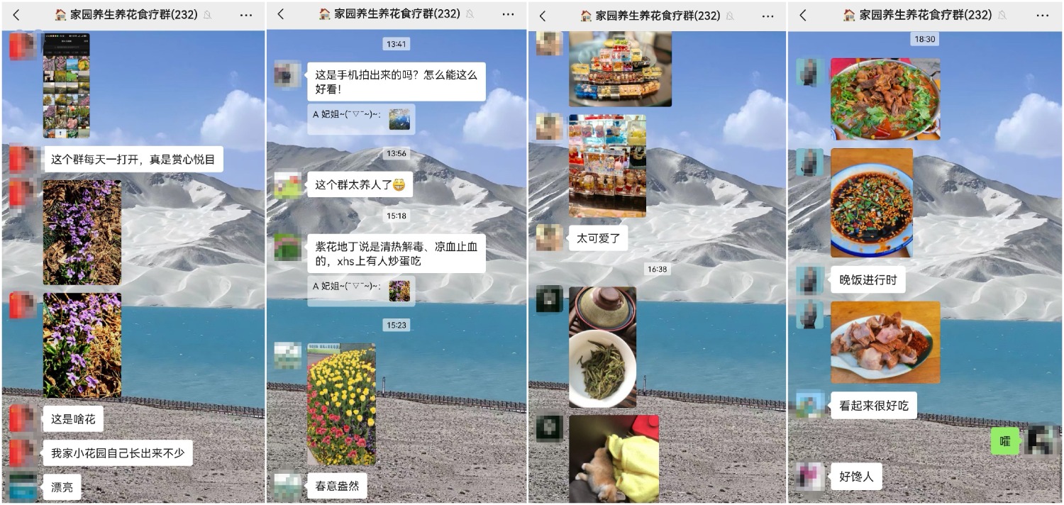 Collage_20250326_112151.jpg