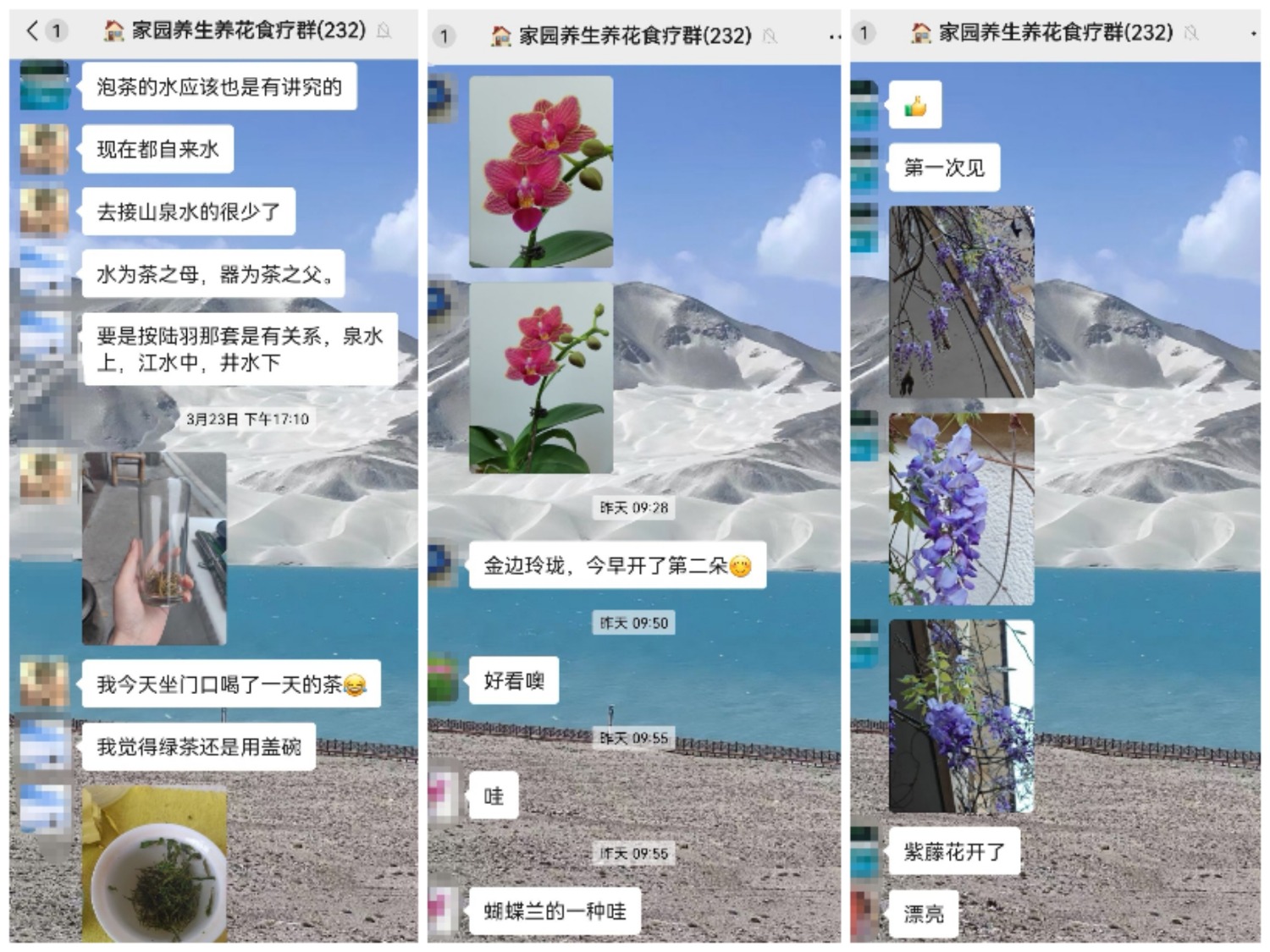 Collage_20250326_112116.jpg